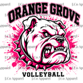 OG Volleyball