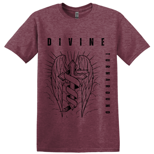 Divine Turnaround